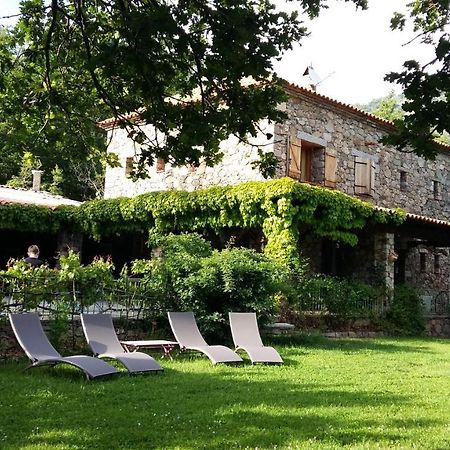 A Muvrella Bed and Breakfast Pioggiola Εξωτερικό φωτογραφία