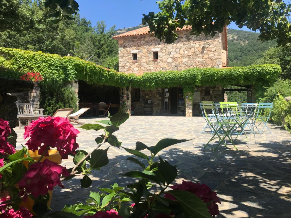 A Muvrella Bed and Breakfast Pioggiola Εξωτερικό φωτογραφία