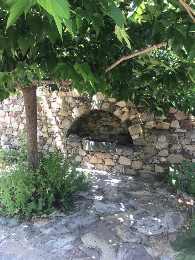 A Muvrella Bed and Breakfast Pioggiola Εξωτερικό φωτογραφία