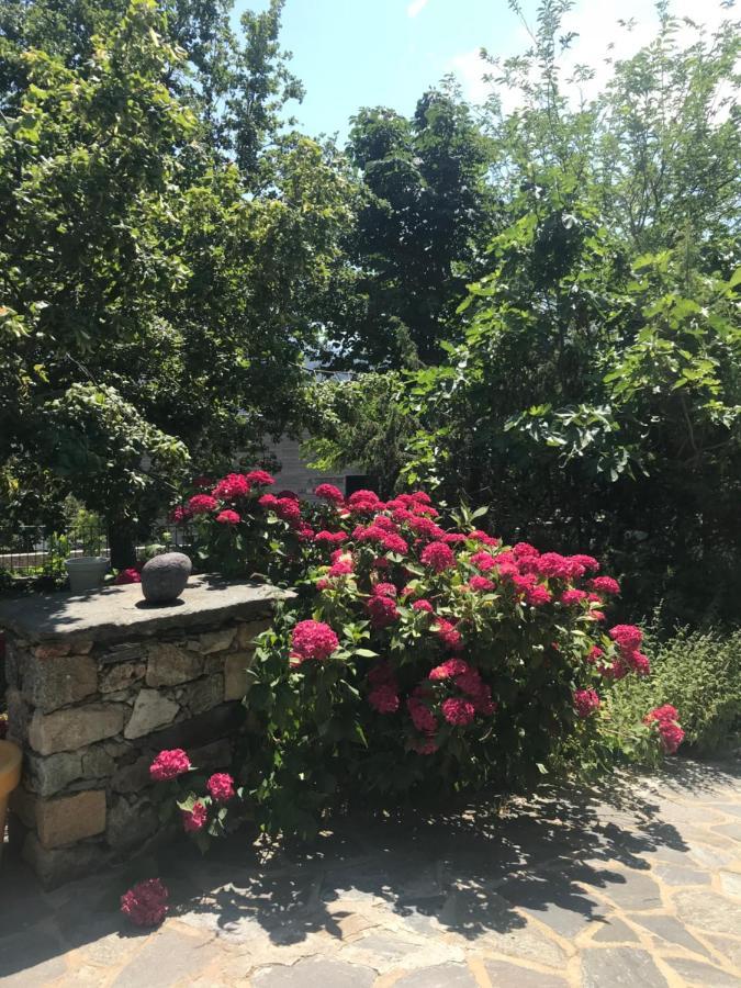 A Muvrella Bed and Breakfast Pioggiola Εξωτερικό φωτογραφία