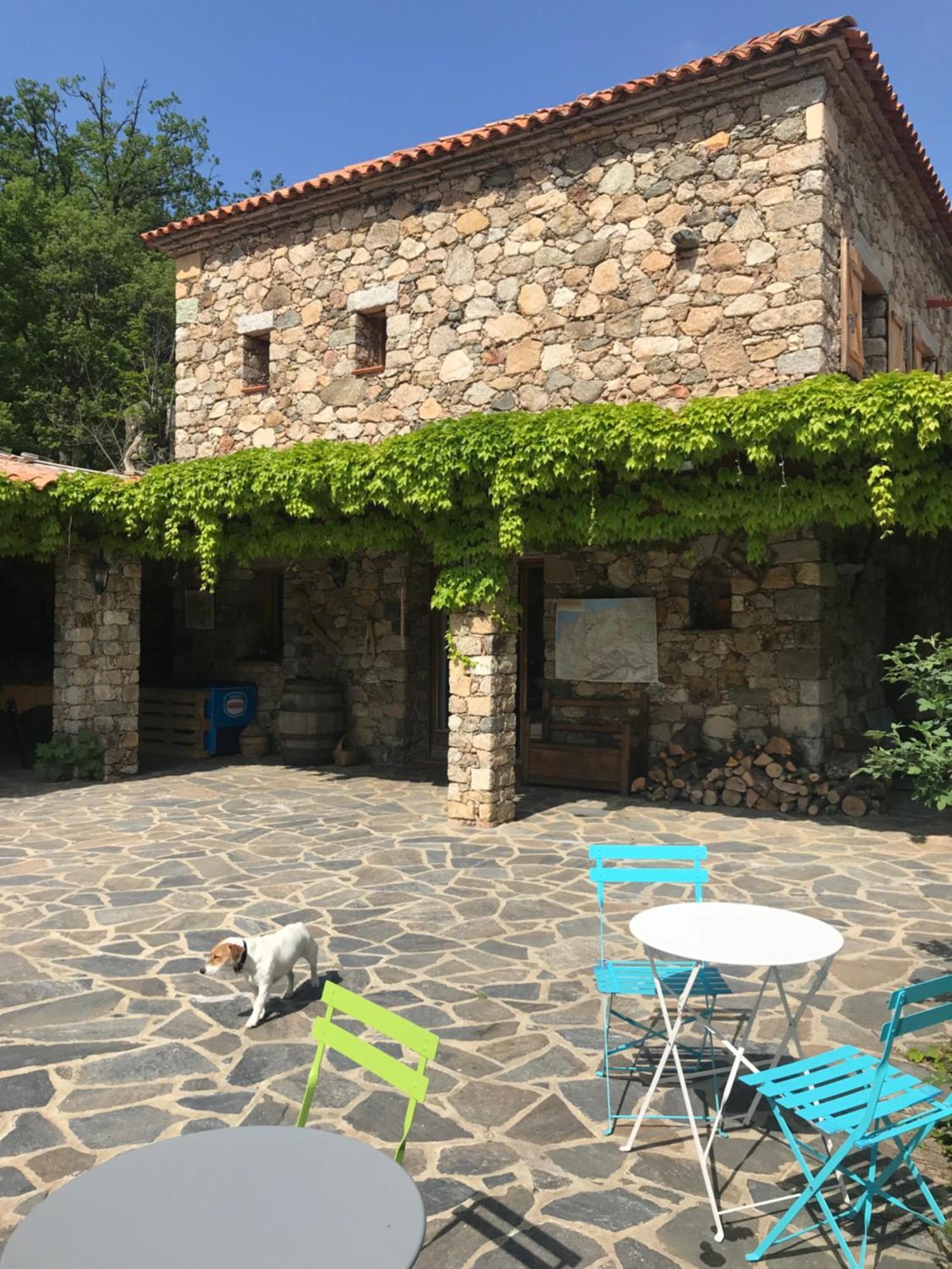 A Muvrella Bed and Breakfast Pioggiola Εξωτερικό φωτογραφία